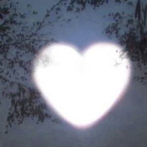 Meet your Posher, Sofia